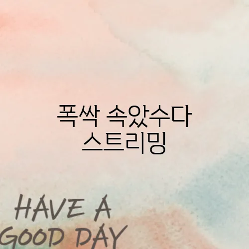 폭싹 속았수다 스트리밍