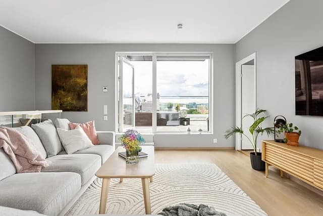 포근함의 끝판왕 🏠 러그 BEST 5