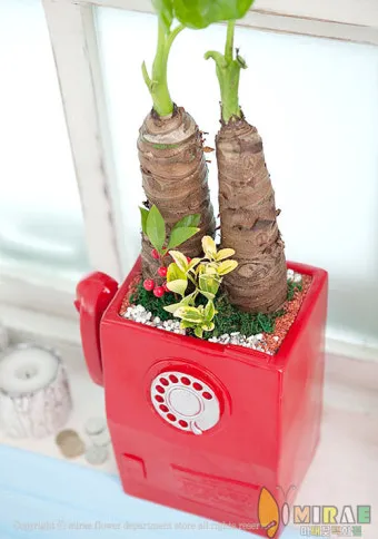 "장마철
