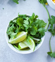 파슬리의 효능 부작용 먹는법 고르는법