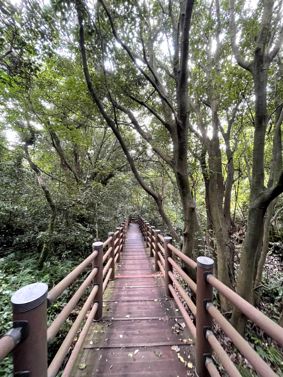 제주 곶자왈 도립공원