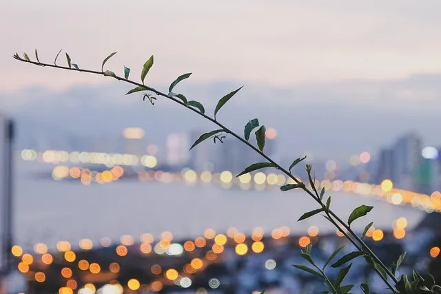 나트랑 여행 핵심명소 TOP 5_5