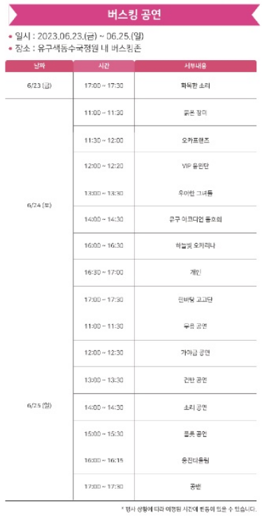 축제 버스킹 공연