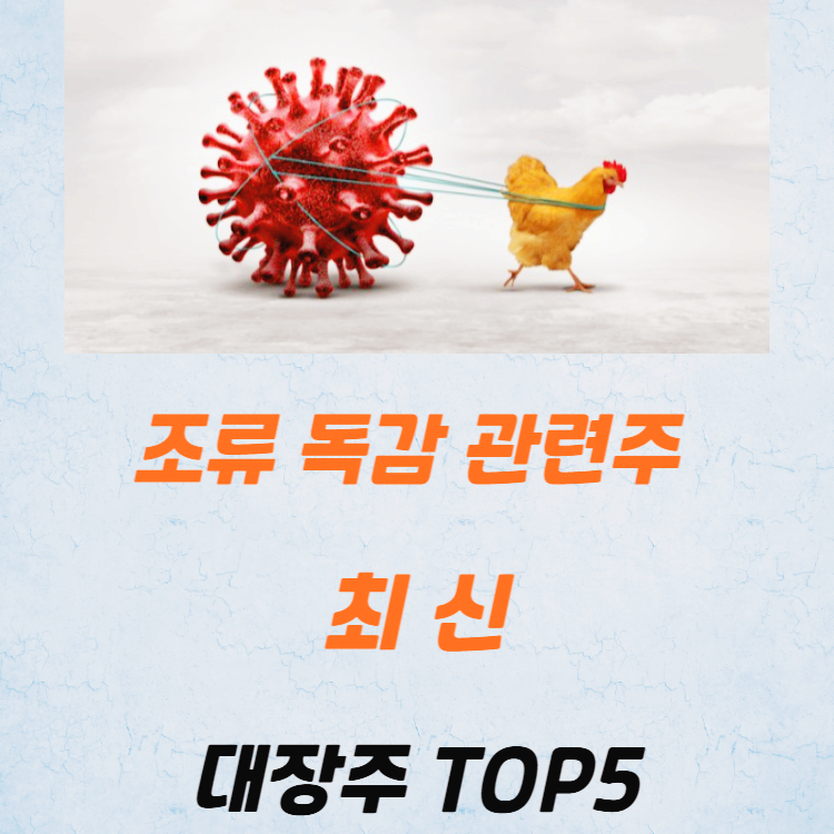 육계 조류독감 관련주 대장주 테마주 TOP5