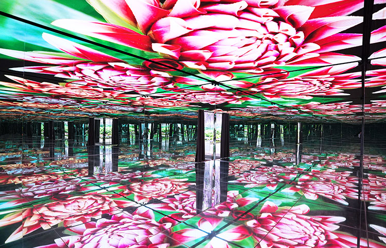 가평 베고니아새정원