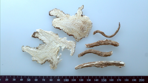 혈관에 좋은 음식