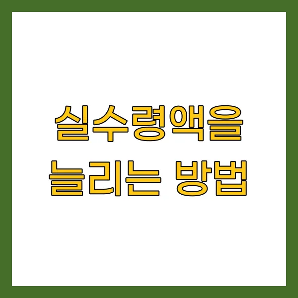 실수령액을 늘리는 방법