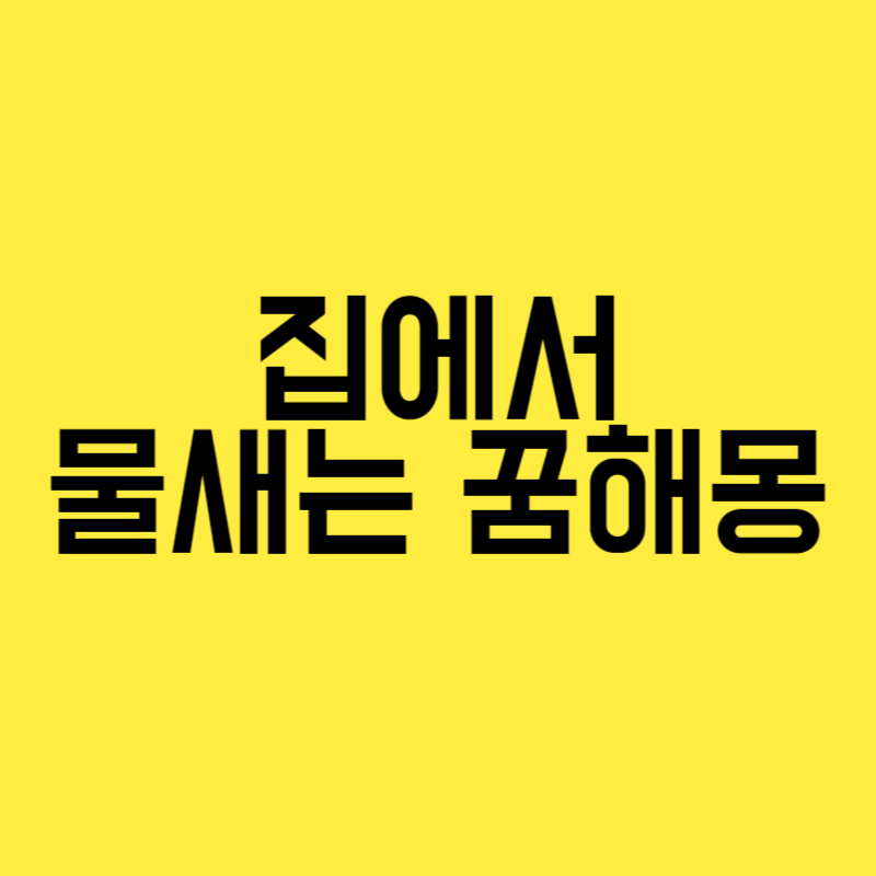 집에서 물새는 꿈해몽