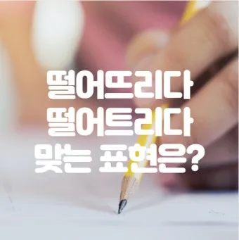 떨어뜨리다 떨어트리다 맞춤법 혼동 끝 예문으로 완벽 이해하기_17