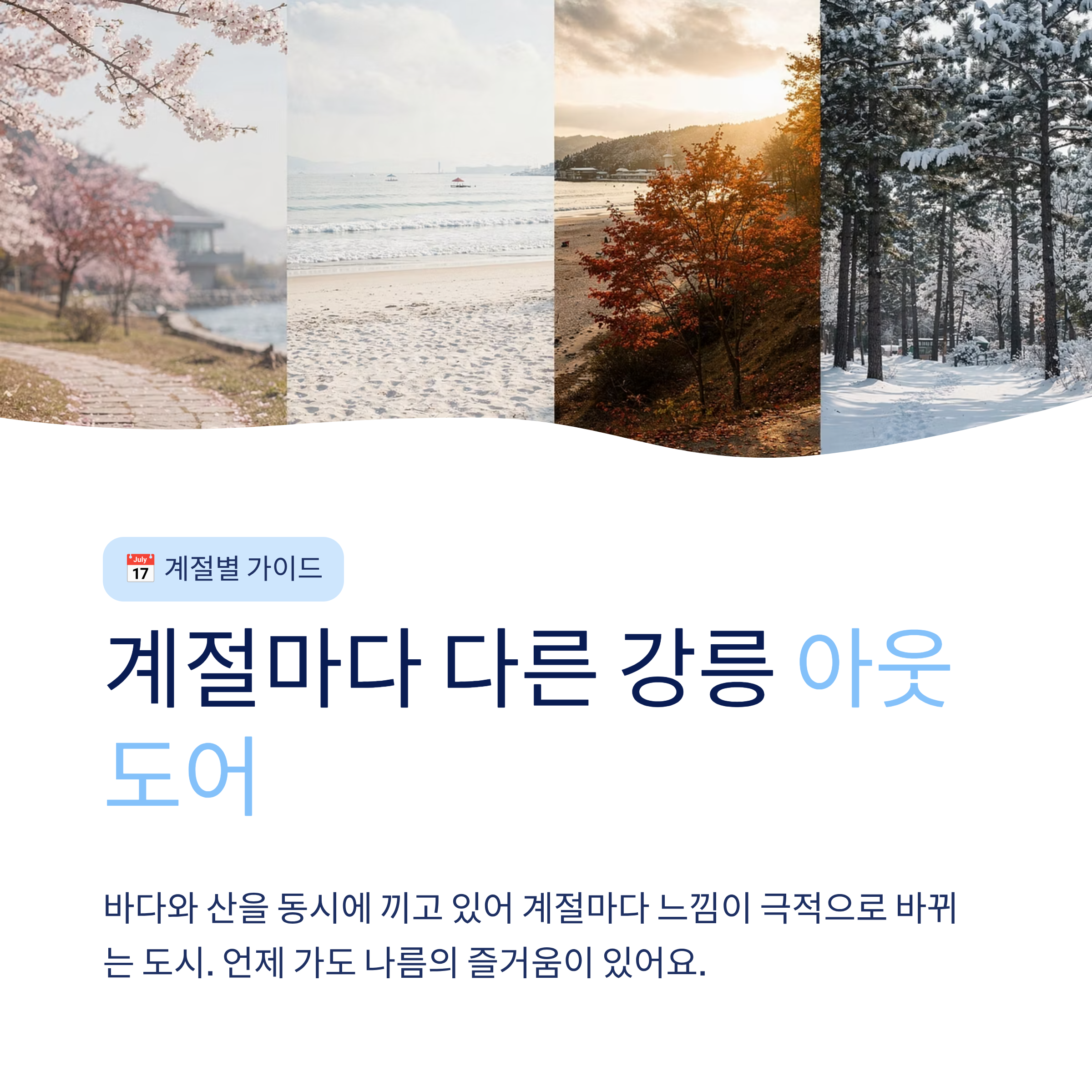 강릉 근교 산책 달리기 트레킹 코스 추천 ❘ 바다와 소나무 숲 사이를 걷는 법