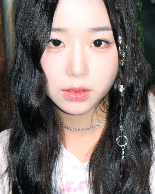 김채연