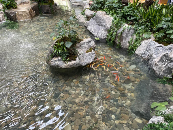 경춘당 대형 베이커리, 브런치, 식물원 카페 - 물고기