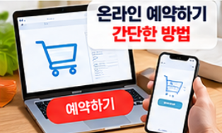 2026 절임배추 사전예약 20kg 가격 비교와 예약 시기&amp;#44; 김장 준비 방법 총정리 