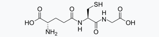 글루타치온 분자구조
