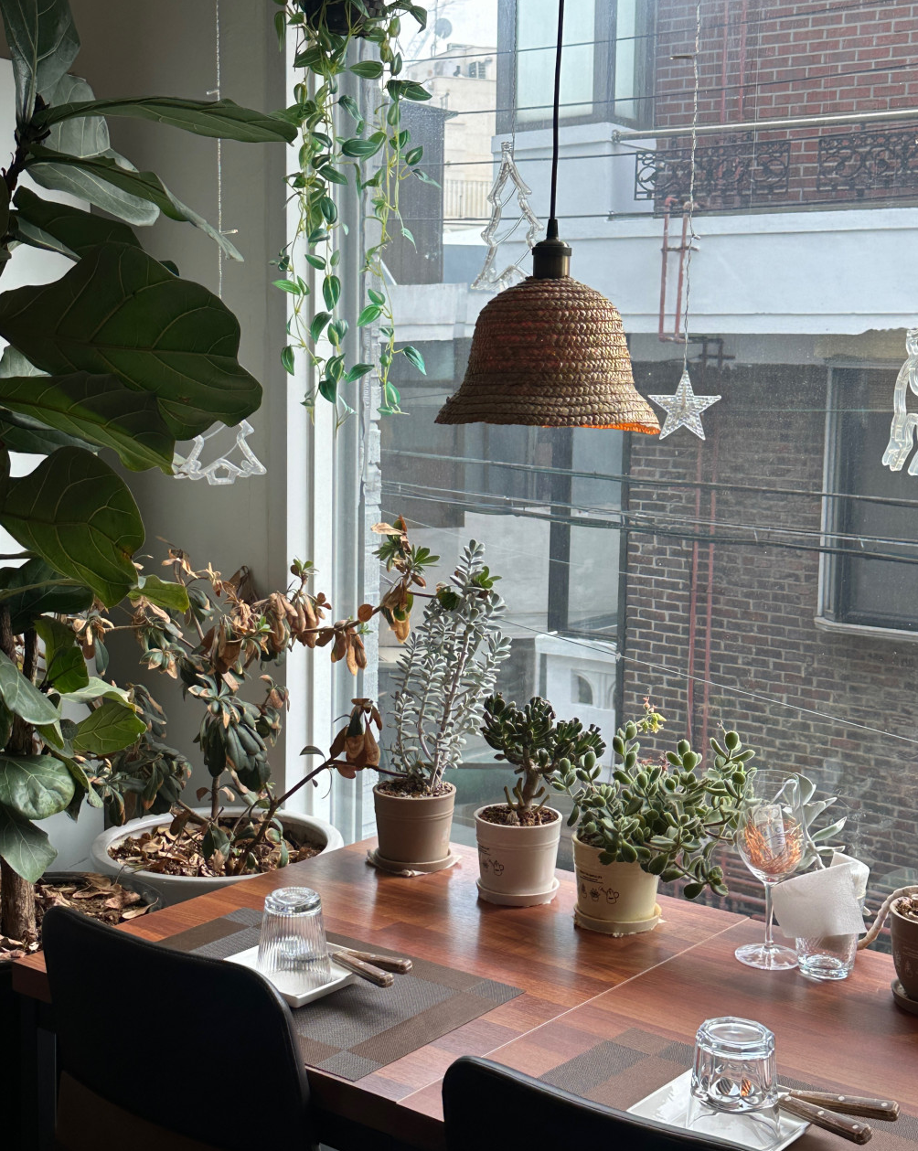 이태원 비건식당 카무플라주