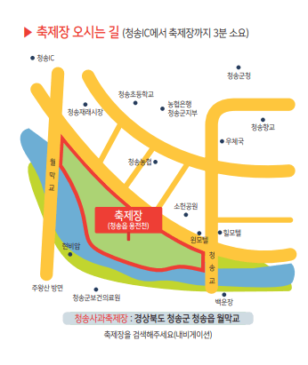 청송사과축제 가는길