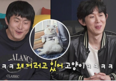 나혼자산다에 나온 안재현 고양이