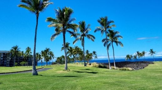 하와이 골프 와이콜로아 비치 이미지