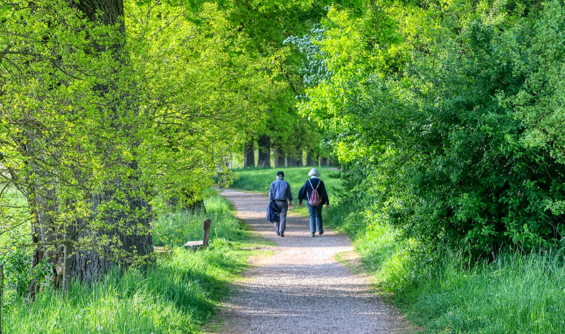 연금생활자의 산책에 관한 사진