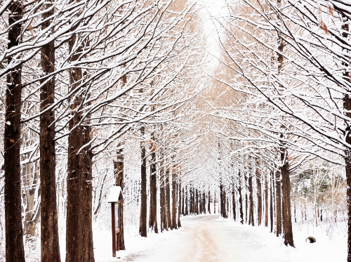 인천 겨울 여행 명소, 인천대공원·소래습지·계양산·강화고려산
