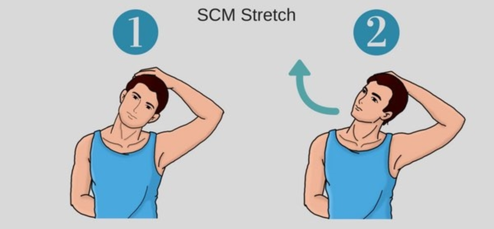 scm 근육 스트레칭 방법