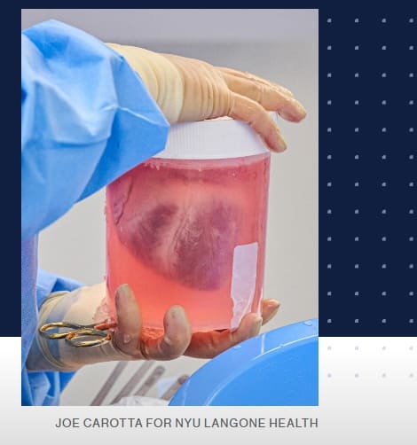 MIT 선정 획기적 미래의 기술들 10 Breakthrough Technologies