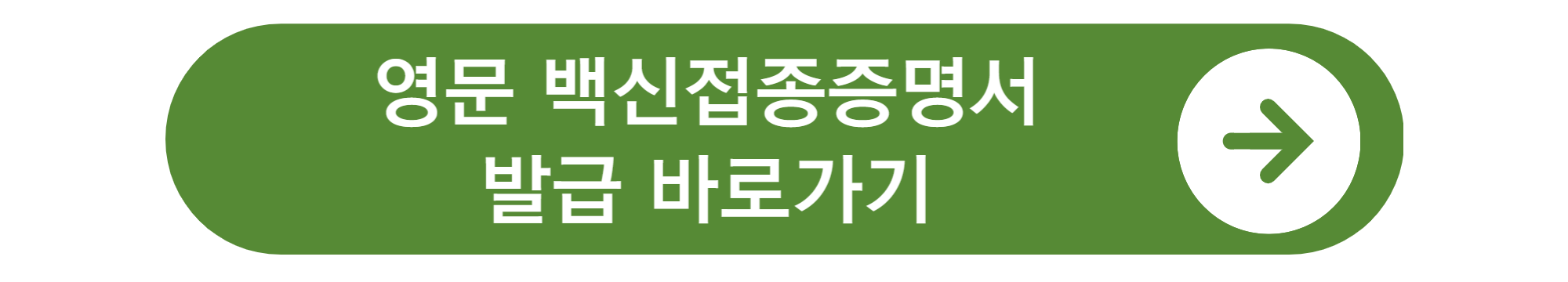 영문 백신접종 증명서 발급