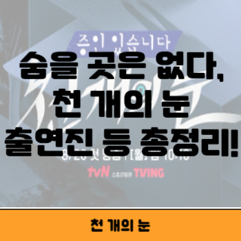 천 개의 눈 썸네일