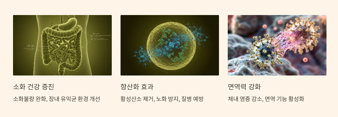 카뮤트 효소의 주요 효능