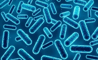 유산균 종류 먹는 시간 섭취방법_4