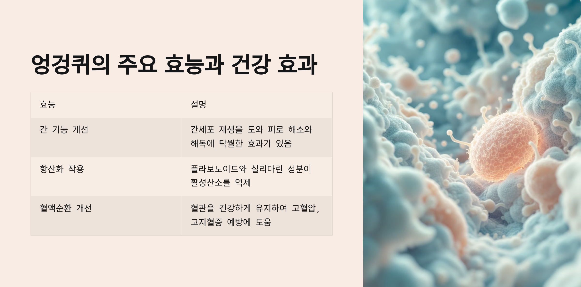 엉겅퀴