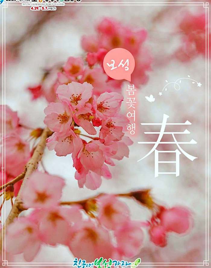 생방송오늘저녁 대한민국 보물 정원 전남 보성 여행 추천