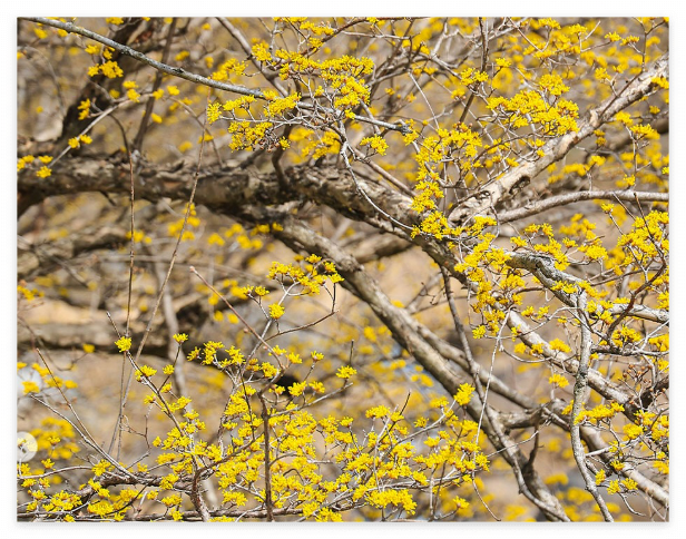  지리산 숙소 추천