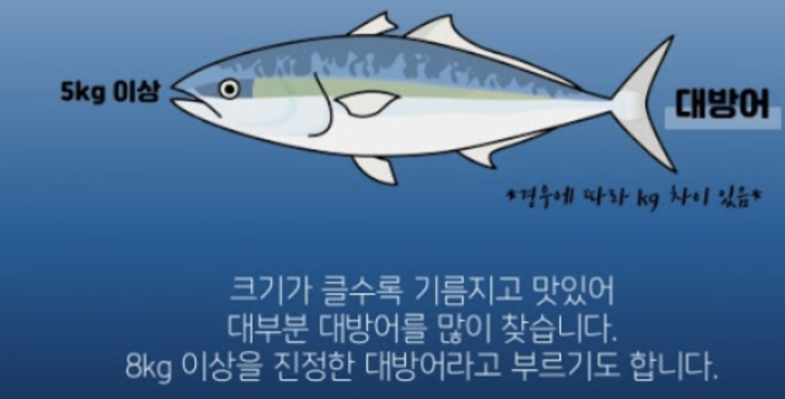 대방어 크기