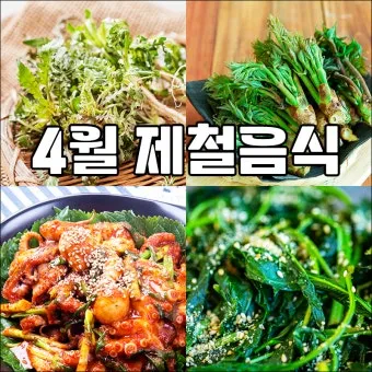 4월 제철음식 제철 생선 과일 채소 모음_15