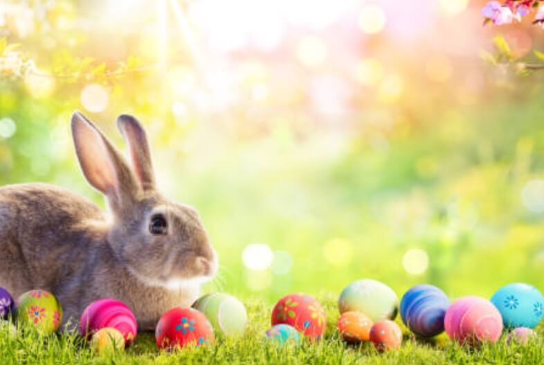 2024년 토끼띠 운세