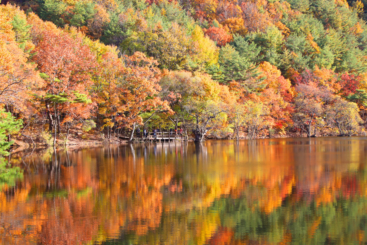 국내 가을 단풍 여행 TOP 4
