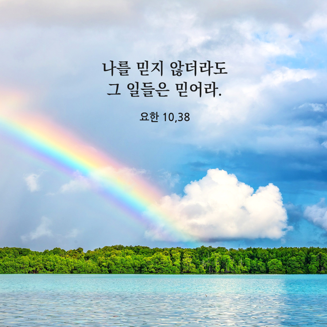 나를 믿지 않더라도 그 일들은 믿어라. (요한 10,38) 성경 말씀 카드 이미지