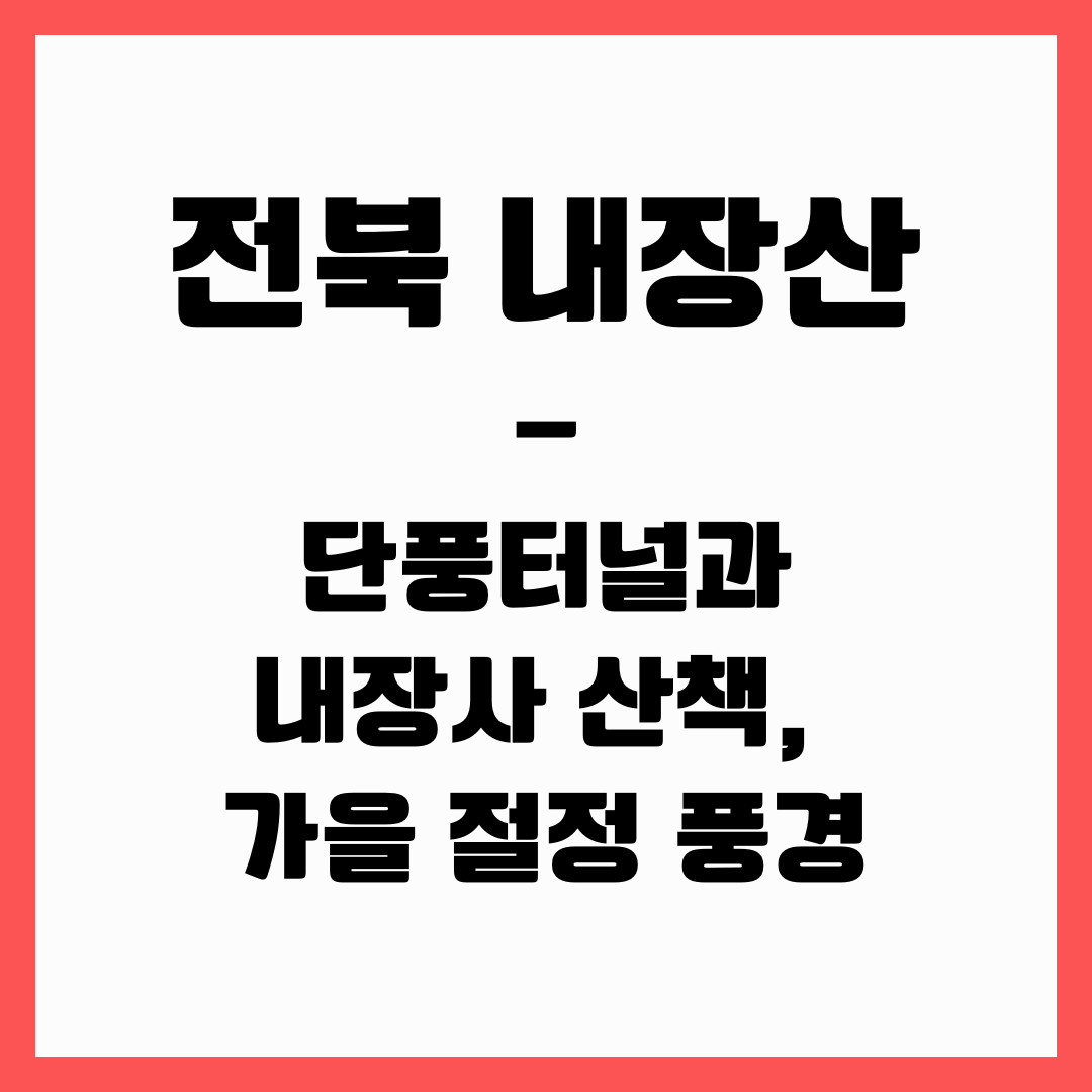 전북 여행 - 내장산 단풍터널과 내장사(가을풍경)