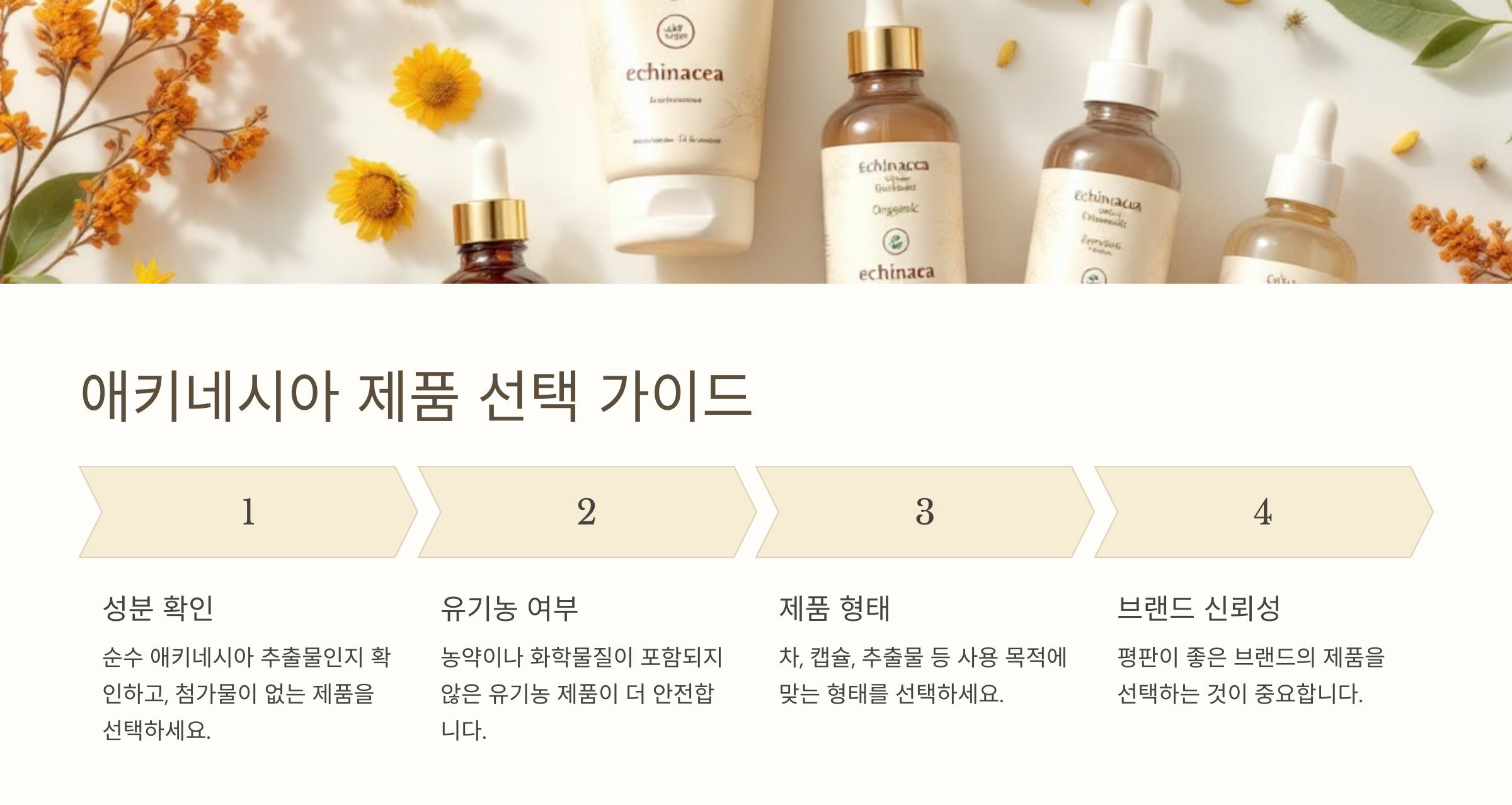 에키네시아꽃-사진