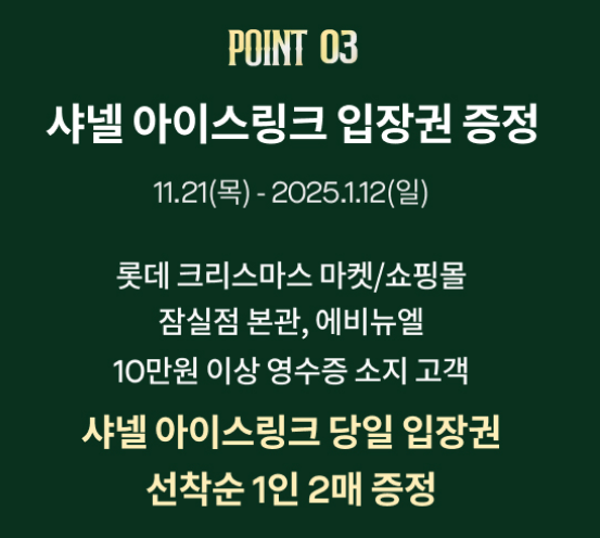 샤넬아이스링크입장권