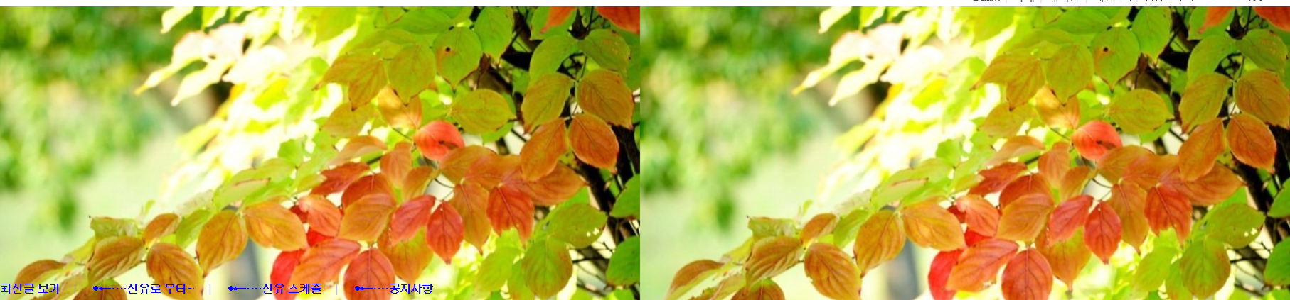 가수 신유 공식 팬카페