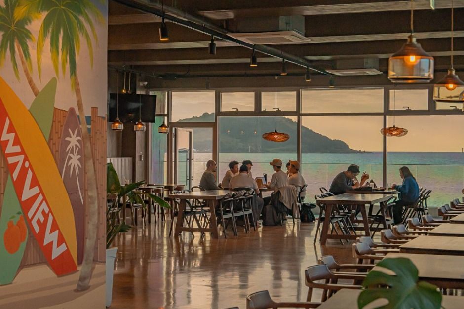 웨이뷰 메밀꽃 축제? 당신만 모르는 ‘이 시기’가 있다