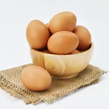 무항생제 계란