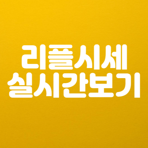 리플시세 실시간