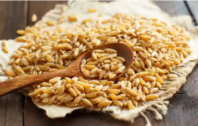 당뇨 혈당수치 낮추는법&amp;#44; 당뇨에 좋은 음식