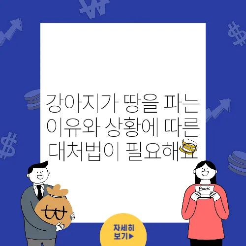 강아지가 땅을 파는 이유와 상황에 따른 대처법이 필요해요