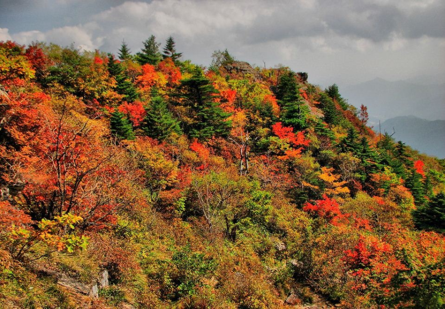 지리산 가을 사진 명소