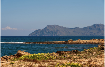 🔥구르카 용병 월급 실화? PMC 연봉부터 구르카 되는 법까지 완벽 정리!(FT. 태세계 시즌4 구르카 용병학원)