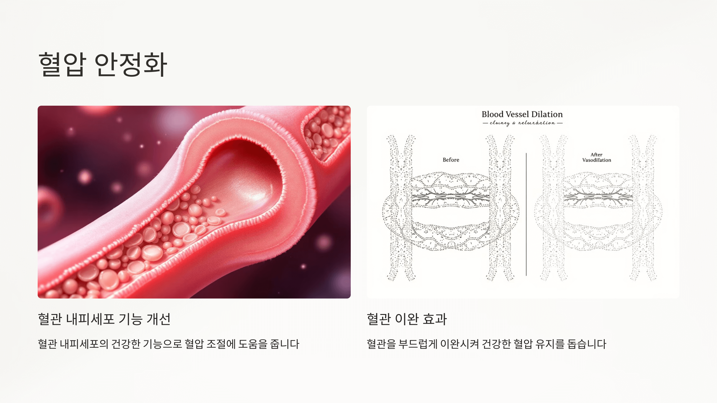 폴리코사놀과 관련된 사진입니다.